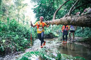 BIB: 
                            <button type="button" onclick="openModal(25443518)" class="btn btn-primary btn-sm float-right btn-popup" data-toggle="modal" data-target=".modal-high-quality">
                        <i class="fas fa-shopping-cart"></i> Add to Cart
                    </button>
                                            <button type="button" onclick="isThisMe(25443518, true)" class="btn btn-success btn-sm float-right btn-popup btn-isme hidden" data-toggle="tooltip" data-placement="bottom" title="นี่คือรูปของคุณใช่ไหม คลิกที่นี่เพื่อเอาเข้าอัลบั้ม">
                        <i class="fas fa-plus"></i> Add to album
                    </button>
                    <button type="button" onclick="isThisMe(25443518, false)" class="btn btn-warning btn-sm float-right btn-popup btn-isnotme hidden">
                        <i class="fas fa-ban"></i> Remove from album
                    </button>